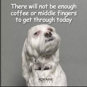 Meet your Posher, Tabitha